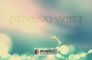 Da li postoje situacije kada možemo vidjeti džine? Dzinnski svijet