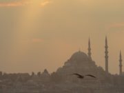 Sedam osobina koje Allah voli i sedam koje Allah ne voli Dzamija slika