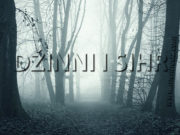 Osoba koja obavještava one koji joj dođu o njihovim intimnim i tajnim stvarima sihr