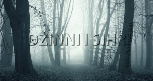 sihr