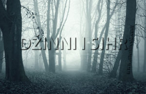 Osoba koja obavještava one koji joj dođu o njihovim intimnim i tajnim stvarima sihr