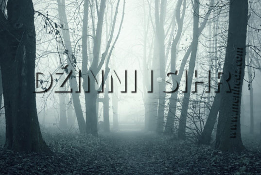 sihr