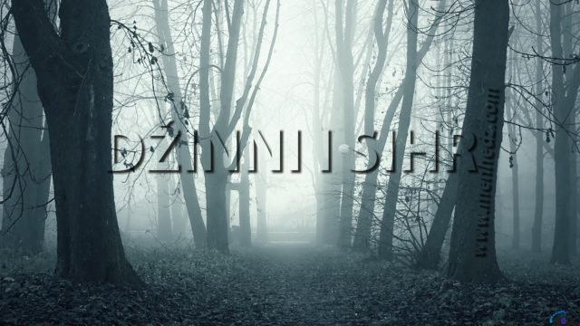 dzini-i-sihr-1920 sihr