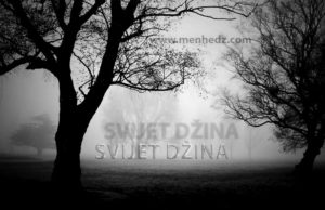 Osnovne informacije u vezi sa svijetom džina i šejtana: Od čega su i kako stvoreni, kako izgledaju… džinni, šejtani