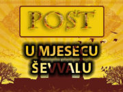 Vrijednost posta šest dana u mjesecu ševalu post u sevvalu