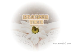 Da li je dozvoljeno da muž prisvoji imovinu svoje supruge islam