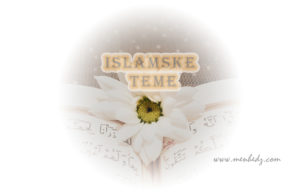 Da li je dozvoljeno da muž prisvoji imovinu svoje supruge islam