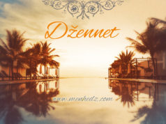 dzennet