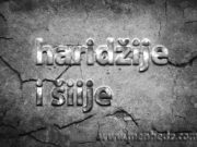 Sličnosti između šija i haridžija haridzije i sije