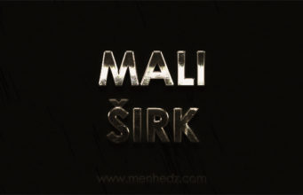 Šta je to mali širk? mali širk