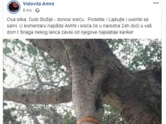 Upozorenje na poruku sihirbaza: Ova slika donosi sreću, ko je bude lajkao, postaće sretan! Drvo, vidovita Amra
