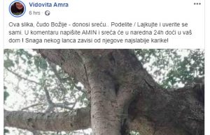 Upozorenje na poruku sihirbaza: Ova slika donosi sreću, ko je bude lajkao, postaće sretan! Drvo, vidovita Amra
