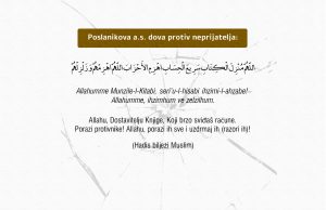 Dova protiv neprijatelja