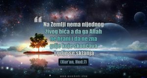 Allah sve hrani