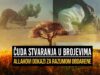 Čuda stvaranja u brojevima