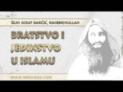 Bratstvo i jedinstvo u islamu