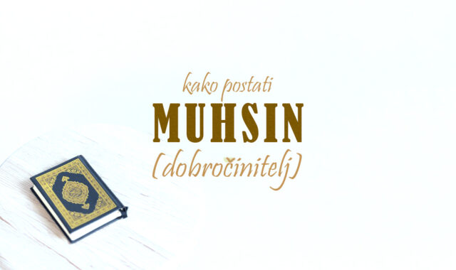 muhsin dobrocinitelj muhsin dobrocinitelj