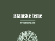 Propis ulaganja truda (uzimanja uzroka koji vode do cilja) islamske teme