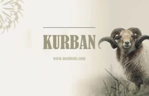 Nekoliko fetvi u vezi kurbana kurban