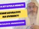 Kako odgovoriti na uvrede | Šejh Muhammed el-Munedždžid