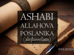 Seid ibn Zejd – ashab Allahova Poslanika, jedan od deseterice obradovanih Džennetom i prvi namjesnik Damaska u historiji muslimana