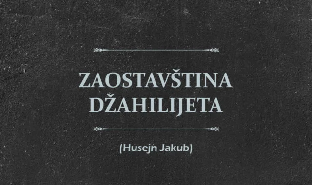 ZAOSTAVSTINA DZAHILIJETA 33
