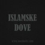 dove-22