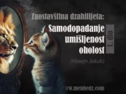 Zaostavština džahilijeta: Oholost, umišljenost, obmanutost i samodopadanje (1. dio)