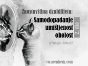 Zaostavština džahilijeta: Oholost, umišljenost, obmanutost i samodopadanje (2. dio)
