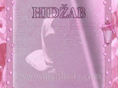 Hidzab