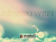 Dzinnski svijet