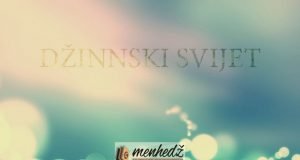 Dzinnski svijet