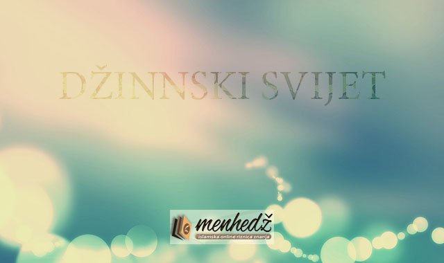 Dzinnski svijet