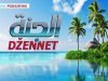 dzennet