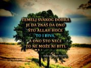 Islamski citati: Temelj svakog dobra je da znaš… (Ibnul-Kajjim) Temelj svakog dobra