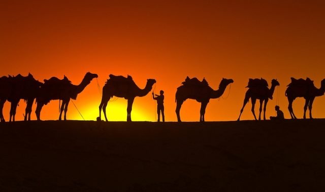 kamile ljudi