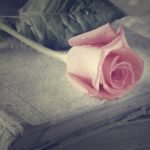 Note Flower Soft Pink Rose Book Wallpaper Ios 8