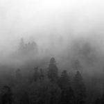 grey-background