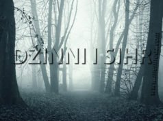 sihr