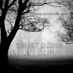 svijet-dzina-640-a