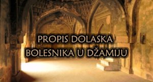 propis dolaska bolesnika u dzamiju