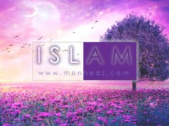 islam, islamski tekstovi, islamske fetve, muslimanka, fetve za žene