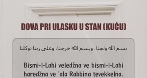 dova pri ulasku u stan kucu