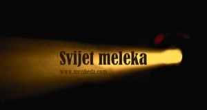 meleki, vrste meleka