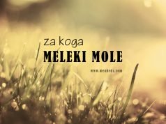 za koga meleki mole