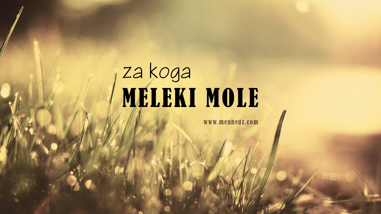 za koga meleki mole