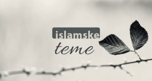 islamske teme