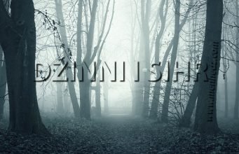 dzini-i-sihr