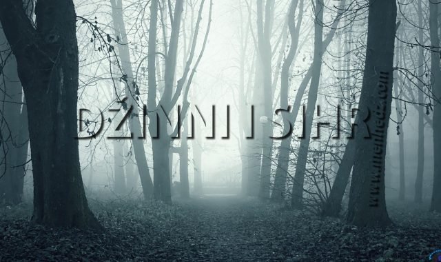 dzini-i-sihr