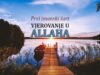 vjerovanje u Allaha - prvi imanski šart